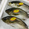 「魚魚市場鮮魚コーナーおすすめは「ゴマサバ」です♪」