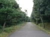 車がない状態！「【ふしみ編集部ニュース】先日、伏見桃山城へ行くときに発見した珍しい光景！　＠伏見桃山」