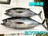「金曜限定！！お魚好きな方のためのお惣菜！！」