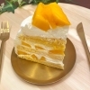 旬のフレッシュマンゴーを堪能「父の日限定・太陽のタマゴの贅沢ショートケーキご予約受付中」
