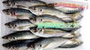 しまね定置もん！【島根県産大アジ】「○本日のお刺身【しまね定置もん！】【島根県産イサキ、大アジ】」