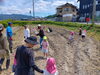 自然と触れ合う体験学習「こども園のみんなとひまわりの種まきをしました！」