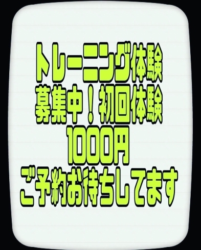 「これ、意外に難しいよ。」