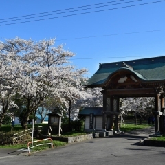 天上寺