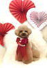 にこくん／こっとんカット「Happy Valentine ♡」