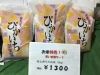「魚魚市場鮮魚コーナーおすすめは「コウイカ」です」