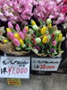 「【泉佐野市、貝塚市、熊取町】でお住まいの愛妻家にオススメの花屋りっちゅ情報」