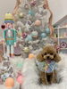 くうちゃん「MerryXmas🎄」