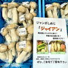 「ジャンボしめじ『ジャイアン』が入荷しました！」