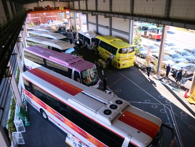 いろいろなバスが大集合!!「バス会社合同説明会＆バス運転体験開催します!!」