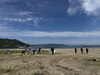 「宮津市由良海岸でビーチクリーンに参加しました！」