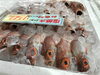 「魚魚市場鮮魚コーナーおすすめは「北海道産ホタテ・のどぐろ」です♪」