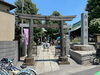 「雅楽と獅子舞が響く初夏の一日！邪気祓いに笑顔あふれる『渋江白髭神社』さまの例祭（陰祭り）家族で楽しむ屋台と伝統神事の賑わい♪［2026年5月17日（日）］」