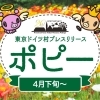 東京ドイツ村　フラワーフェスティバル
