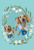 「Dog salon mofu mofu　余市町」