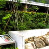 豊臣秀吉造営の幻の城跡（伏見指月城の復元石垣）「【編集部ニュース】『慶長の夏、伏見崩る ― 文月(ふみづき)に起きた歴史的大地震』をご紹介します。＠京ちゃんの伏見ヒストリー日記」