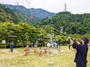 「6月5日（日）マイントピアフェス開催！（雨天決行）　あかがねポイントでアーティスト＆ダンスチームを応援しよう！」