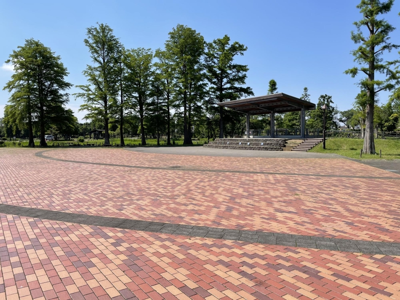 都内屈指の規模 都立水元公園 の花菖蒲 ハナショウブ は21年6月上中旬が見頃です 葛飾区のお知らせ まいぷれ 葛飾区 都内屈指の規模 都立水元公園 の花菖蒲 ハナショウブ は21年6月上中旬が見頃です 葛飾区のお知らせ まいぷれ 葛飾区