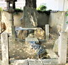句碑「【編集部ニュース】京都･城下町伏見の『西岸寺(さいがんじ)』を紹介します‼　＠京ちゃんの伏見ヒストリー日記 　 　」