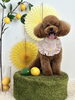 モカちゃん「わんことレモン🍋」