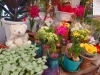 「[はなやHOK皆生店]春の花でいっぱいです♪」