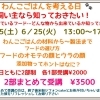 わんこごはんを考える日