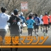 第63回 愛媛マラソン【2026.2.1開催】ランナー募集情報