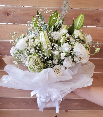 はなやホック皆生店 素敵な贈り物 はなや皆生店のニュース まいぷれ 米子 はなやホック皆生店 素敵な贈り物 はなや皆生店のニュース まいぷれ 米子