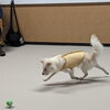「今日のお友達」