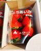 とちあいか→栃木「12月1日船橋市場での魚介&フルーツの仕入れです。」