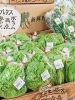 レタスと水菜