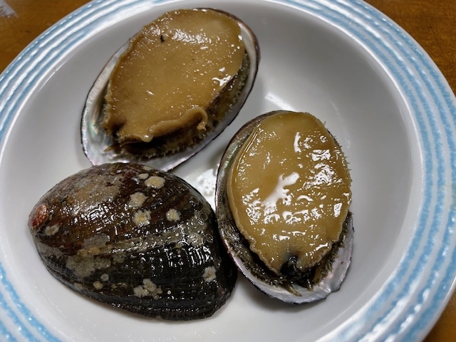 アワビに似た「トコブシ」はアワビより美味い！かも…「東京都大島での「高齢者体操教室」。今月のテーマは「全身を使う！特に内転筋と菱形筋」です。」