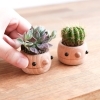 「どんぐりプランター誕生しました🌱」