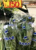 地物野菜「【塩引鮭、塩引鮭粗ほぐし、塩引鮭コロッケ、鮭の焼漬、鮭製品、手作り惣菜のご用命は新潟県村上市、総合食品さいとう】」