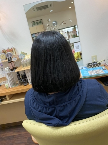 仕事の時に結べるくらいに、、、、。「 ＊6年間伸ばして、60センチ越えのヘアドネーション！＊」