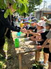 ピーピー豆「田植えをしました」