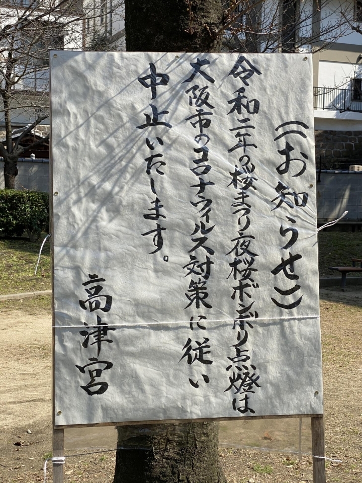 桜の名所 高津神社 浪速高津宮 が 桜まつり 夜桜ボンボリ点灯 の中止を発表 大阪 桜の開花情報 まいぷれ 大阪市中央区 桜の名所 高津神社 浪速高津宮 が 桜まつり 夜桜ボンボリ点灯 の中止を発表 大阪 桜の開花情報 まいぷれ 大阪市中央区
