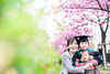 「河津桜撮影会のお知らせ【江戸川区でこども・ファミリーの出張撮影をしています】」