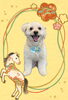 「Dog salon mofu mofu　余市町」