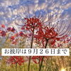 「お彼岸のお供物🍡斐川町　仏壇」