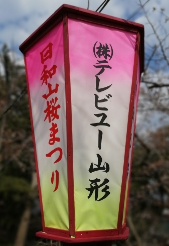 ご協力させて頂いております　自慢ぽくってスミマセン「第４０回酒田日和山公園桜まつり」