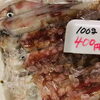 「魚魚市場鮮魚コーナーおすすめは「マングローブガニ」「トビウオ」です♪」