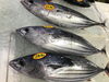 「魚魚市場鮮魚コーナーおすすめは「ヤリイカ」です♪」