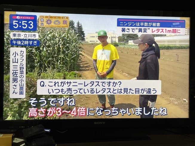 ディレクターさんとの質疑応答、緊張します！「☆カラフル野菜の小山農園『スーパーJチャンネル』に登場📺」