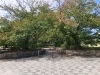 大新公園入口「大新公園の遊具が新しくなります！」