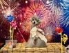 MeMe 体重2.1ｋｇが着るともっと… 笑「夏の花火🎆　うちの子」