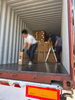 楽棚「楽棚大量入荷しました！」