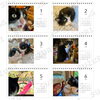 「「morinoki calendar 2026 卓上カレンダー」発売中！」