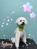 「可愛い子ちゃん♡ Dog salon mofu mofu余市町」
