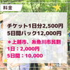 「＼サマースクール2023　今年も開講します♪／」